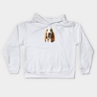 Bracco Italiano The gorgeous look! Kids Hoodie